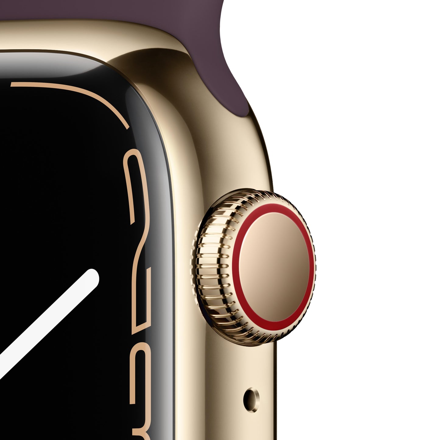 Apple Watch Series 7 GPS + Cellular, 41mm Gold Stainless Steel Case with Dark Cherry Sport Band - Regular