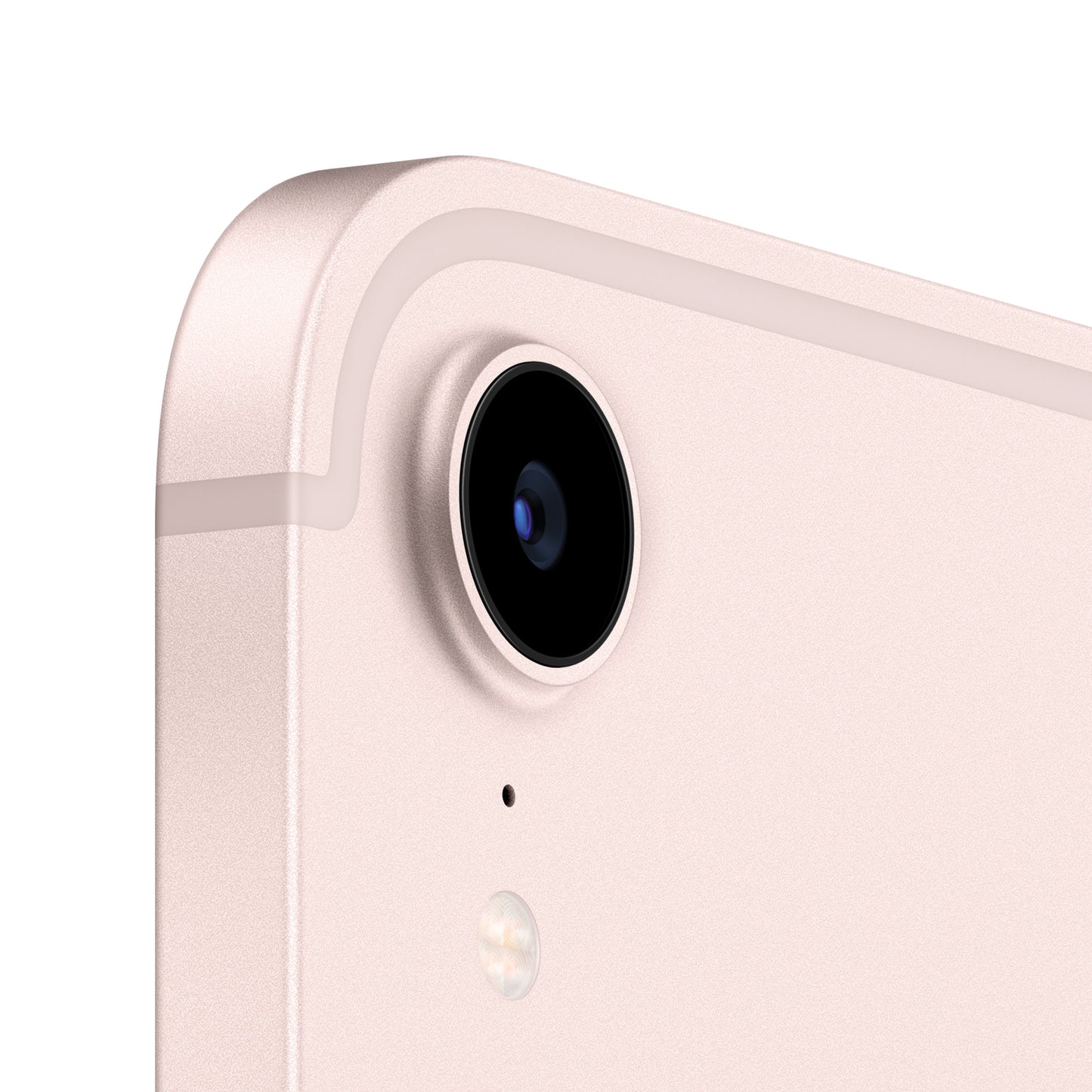 iPad_mini_Cellular_Pink_PDP_Image_Position-3_5G__en-US