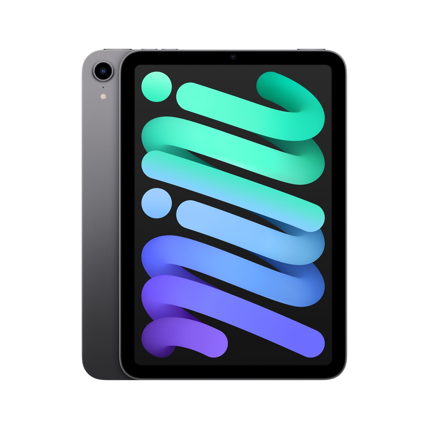 iPad_mini_Wi-Fi_Space_Gray_PDP_Image_Position-1b__en-US