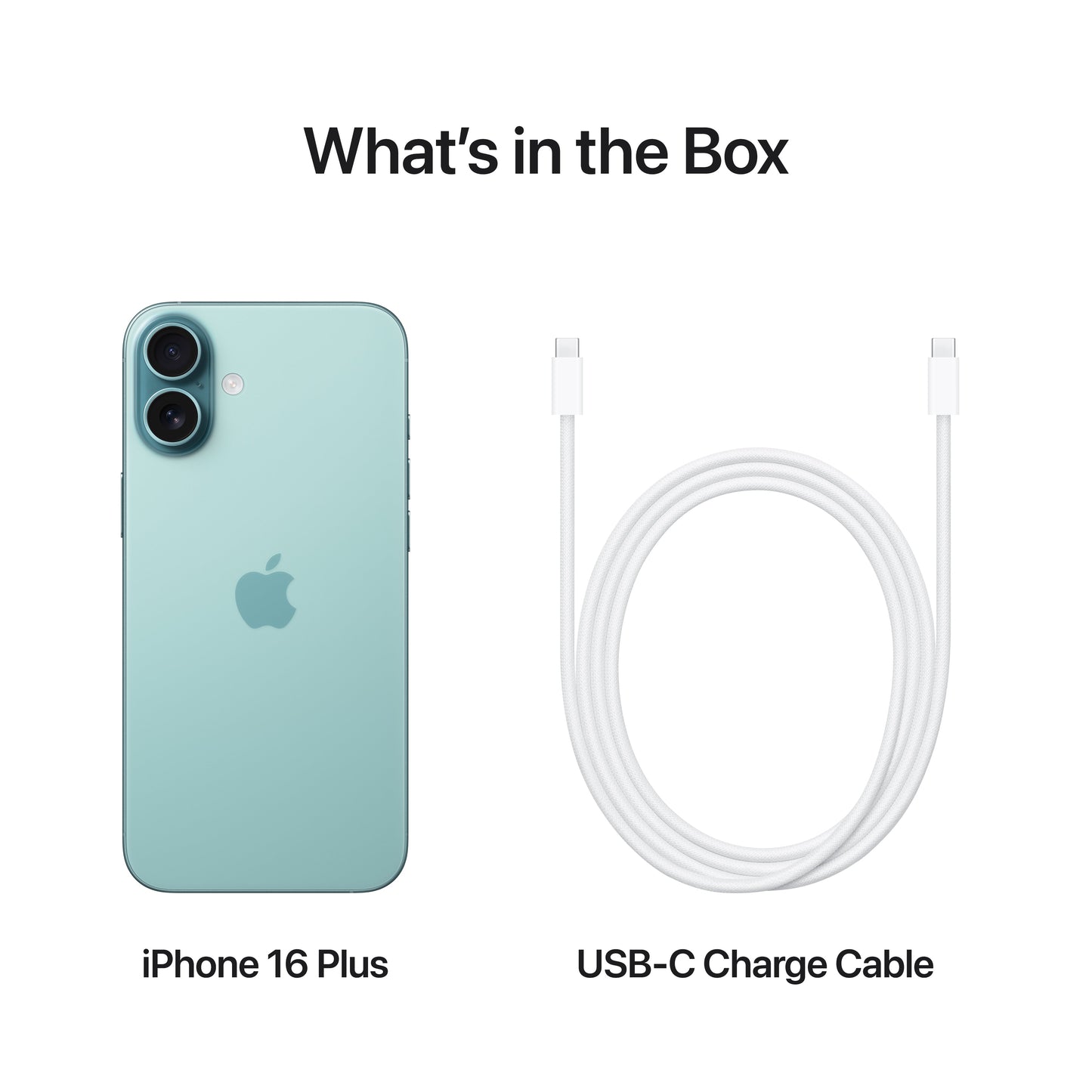 iPhone_16_Plus_Teal_PDP_Image_Position_8__en-US