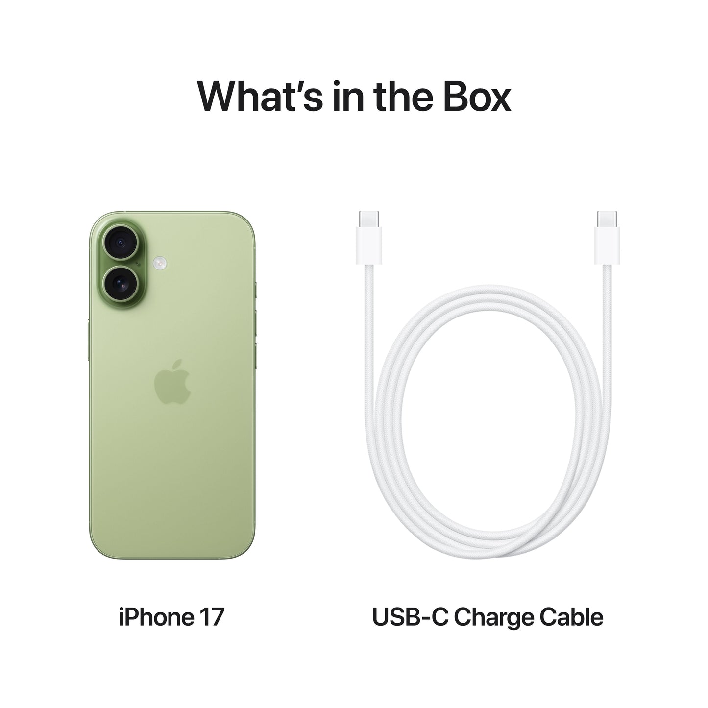 iPhone_17_Sage_PDP_Image_Position_8__en-US