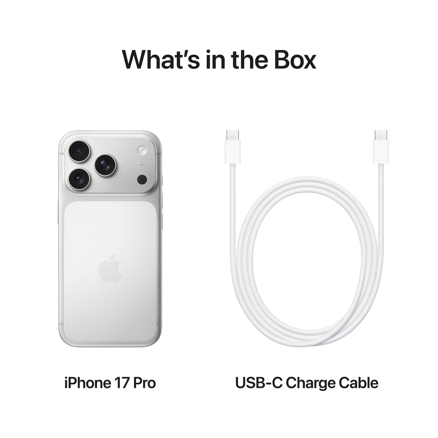 iPhone_17_Pro_Silver_PDP_Image_Position_8__en-US