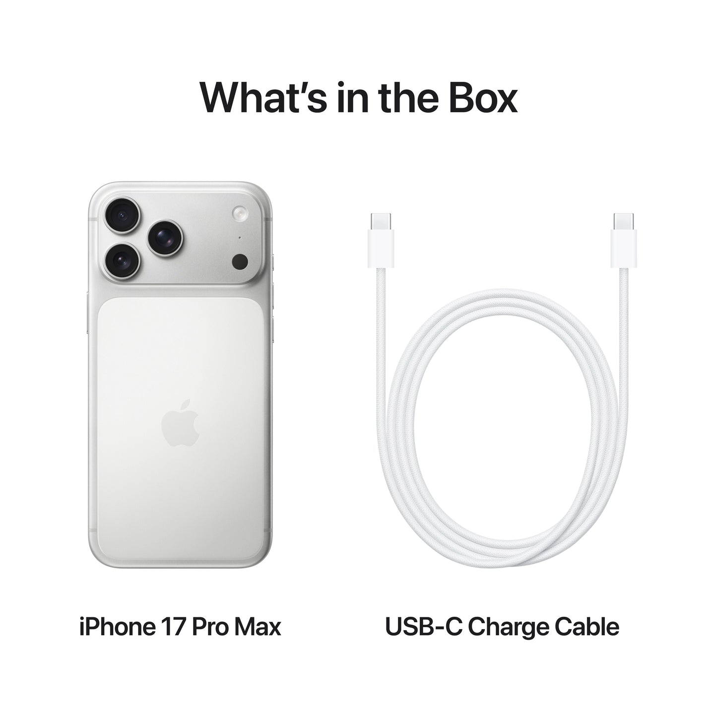 iPhone_17_Pro_Max_Silver_PDP_Image_Position_8__en-US
