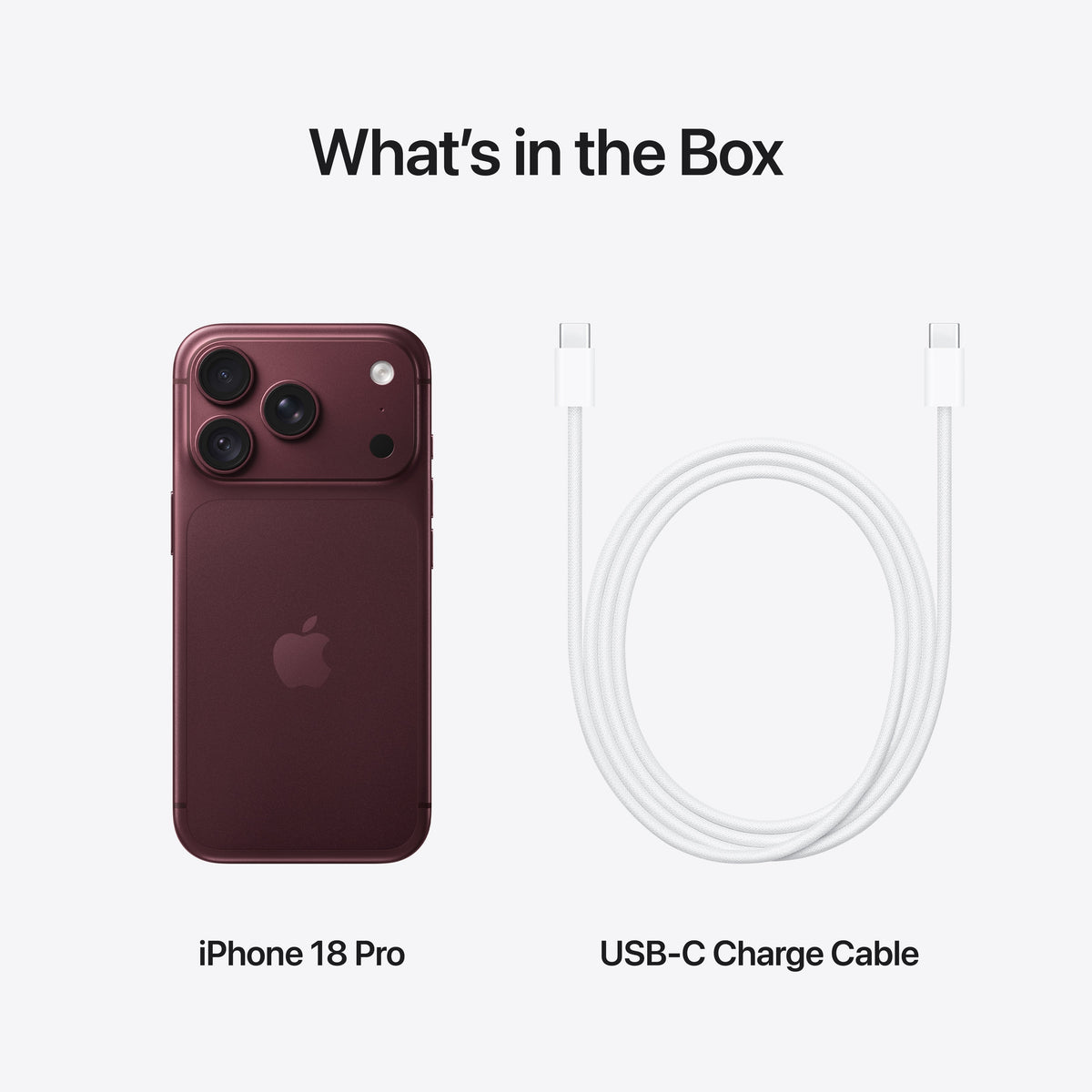 iPhone_18_Pro_Burgundy_PDP_Image_Position_9__en-US