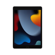 iPad_9th_generation_Wi-Fi_Silver_PDP_Image_Position-1a__en-US