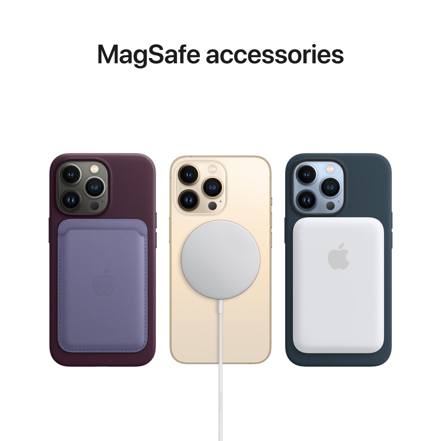 iPhone 13 Pro Leather Case with MagSafe - Sequoia Green