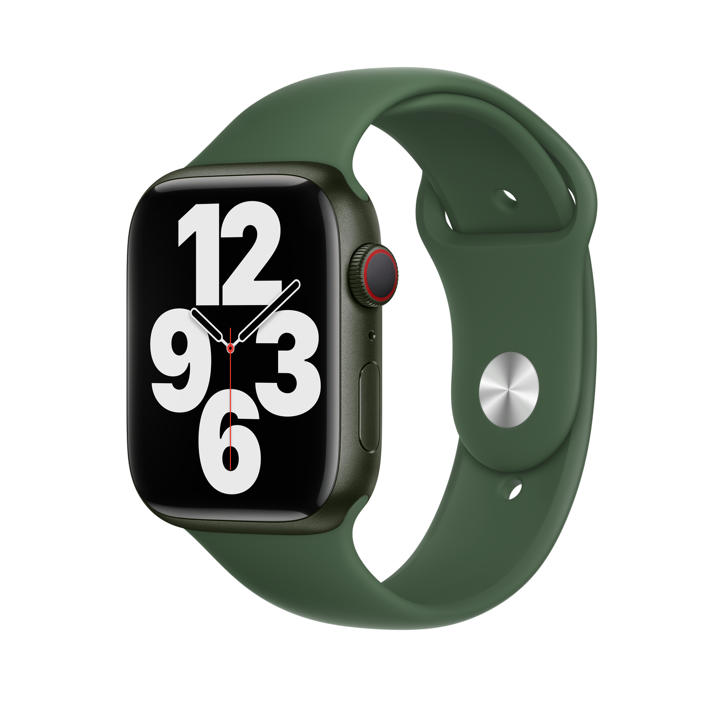 Correa deportiva Clover de 45 mm - Regular