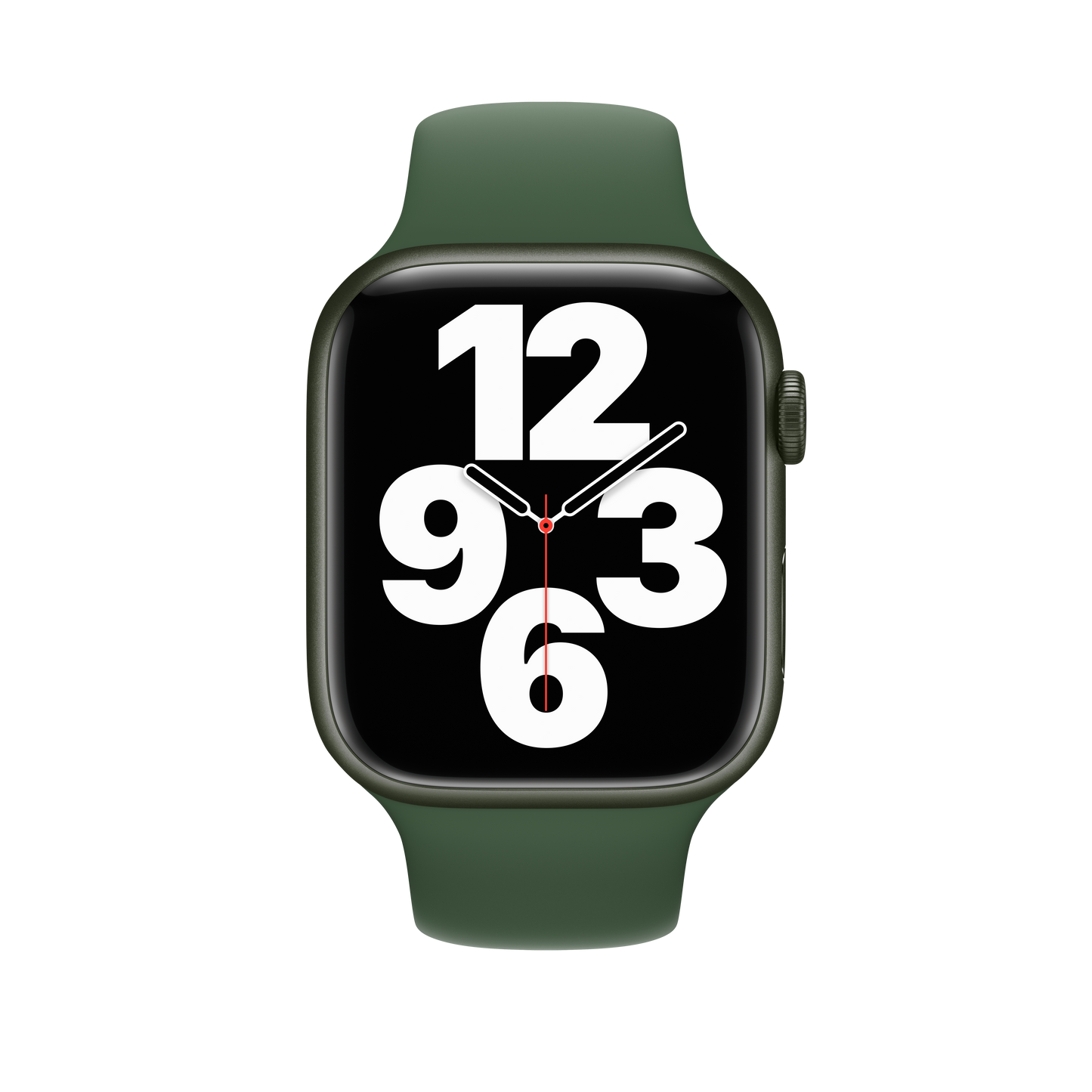 Correa deportiva Clover de 45 mm - Regular