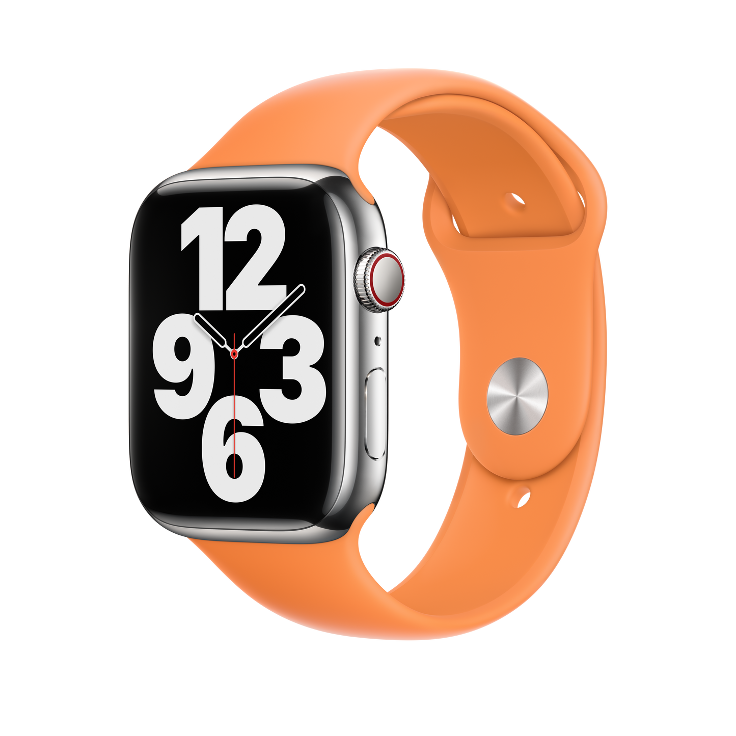 Correa deportiva Marigold de 45 mm - Regular