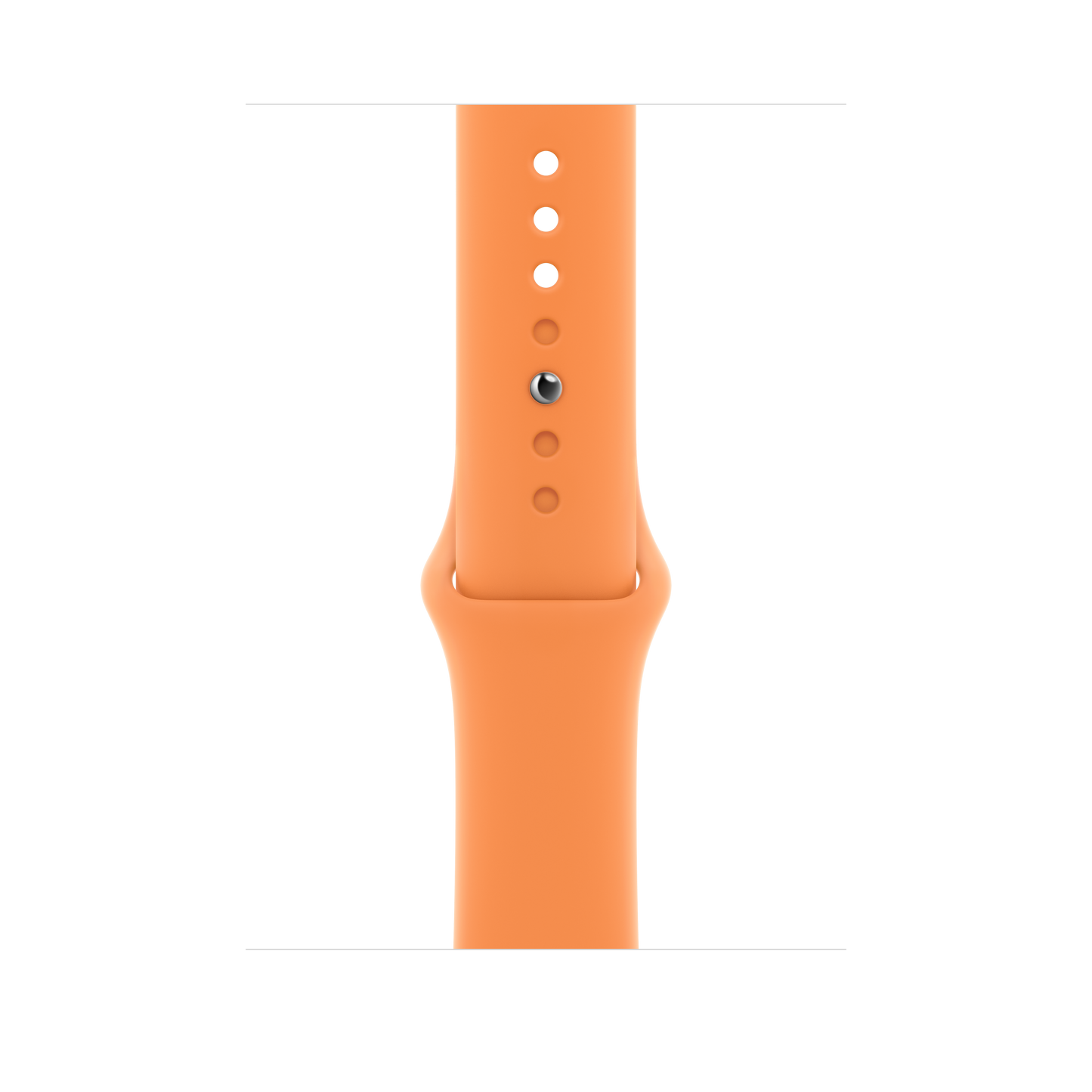 Correa deportiva Marigold de 45 mm - Regular