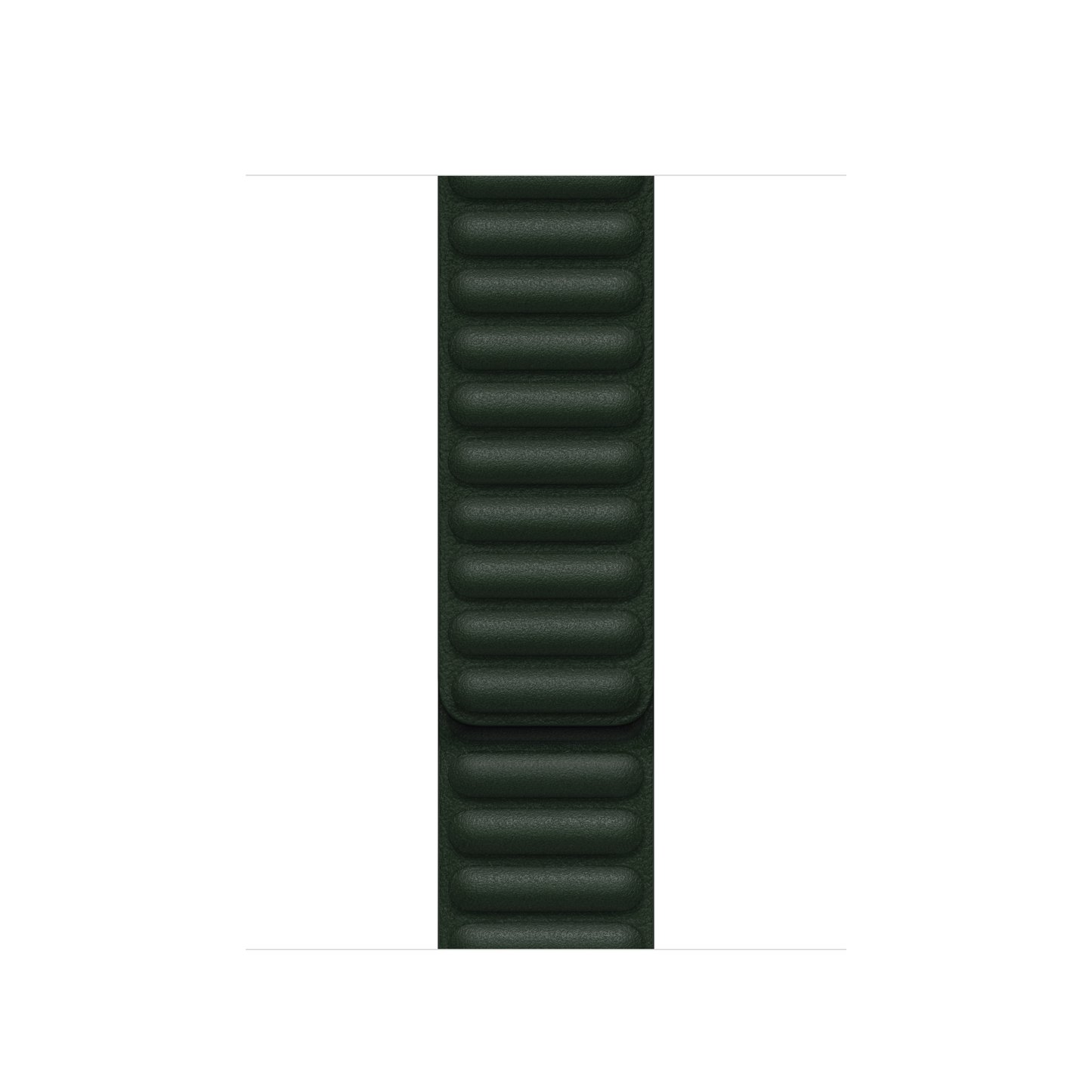 Correa de cuero verde sequoia de 41 mm (talla M/L)