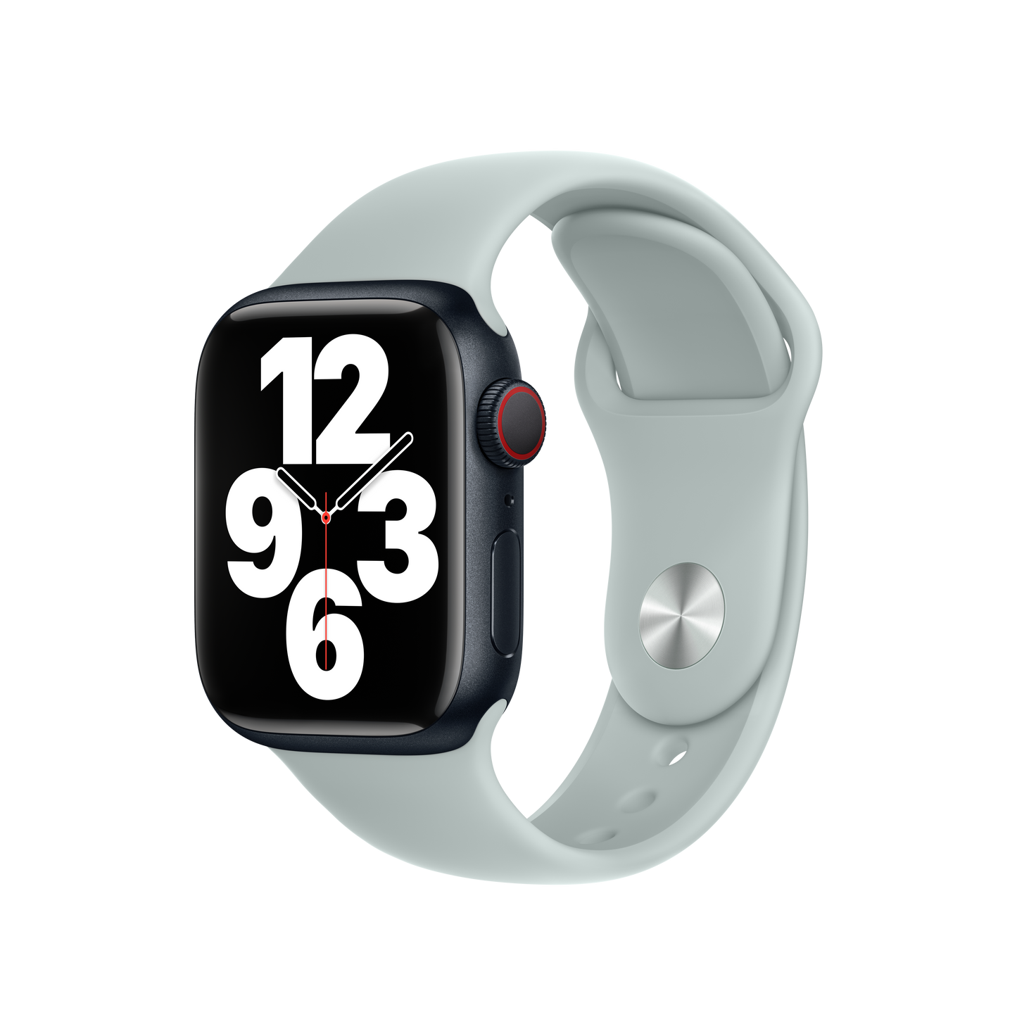Correa deportiva suculenta de 41 mm (talla pequeña/mediana)