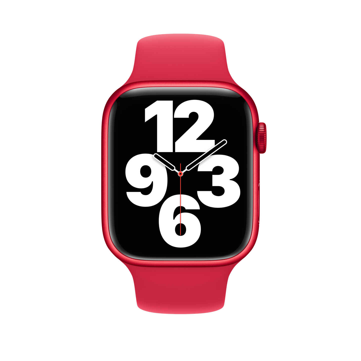 Correa deportiva (PRODUCT) RED de 45 mm - M/L