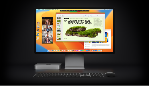 Mac mini with Magic Mouse, Magic Keyboard, and Studio Display light drop.