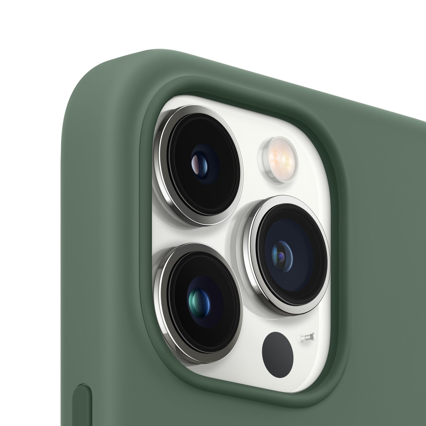 Funda de silicona para iPhone 13 Pro con MagSafe - Eucalipto